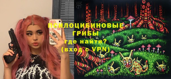 a pvp Киренск