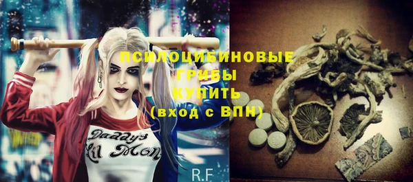 хмурый Киреевск