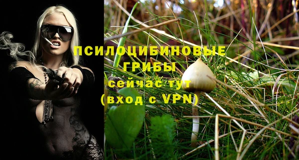 a pvp Киренск