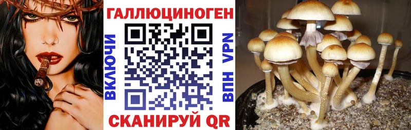 Купить  Спас-Клепики  Галлюциногенные грибы MAGIC MUSHROOMS 
