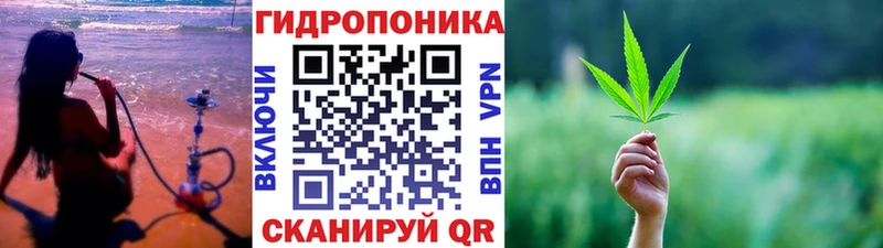 Марихуана план Спас-Клепики